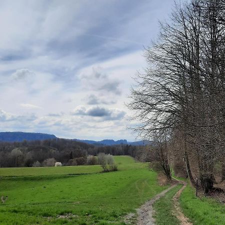 Appartamento Urlaub Im Friseursalon Sebnitz Esterno foto